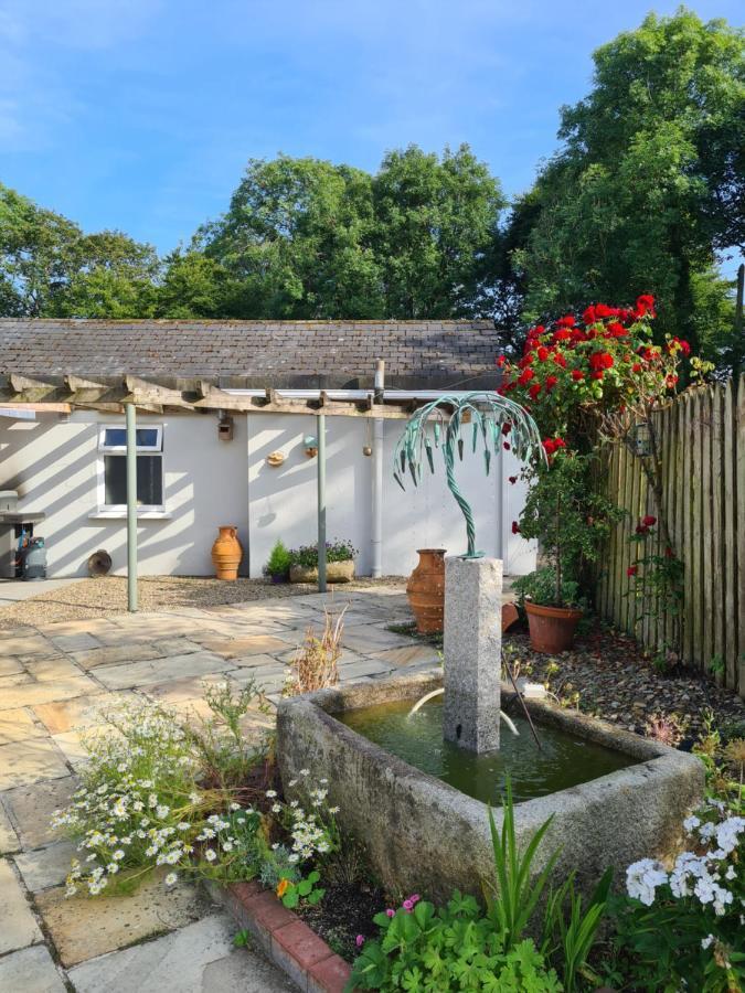 Brookvale Bed & Breakfast Wellingtonbridge Bagian luar foto